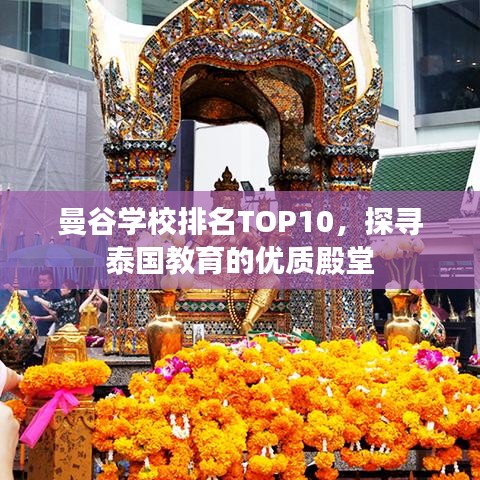 半新不旧 第3页