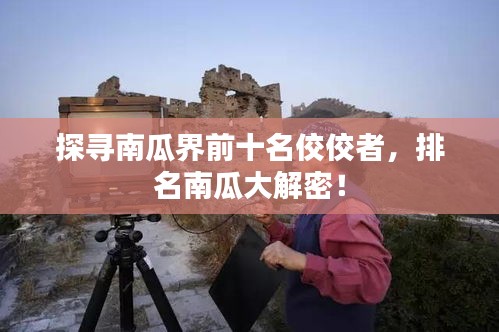 探寻南瓜界前十名佼佼者，排名南瓜大解密！
