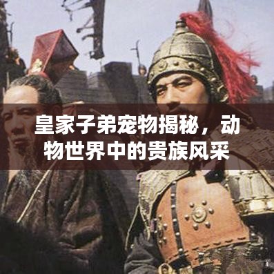 皇家子弟宠物揭秘，动物世界中的贵族风采