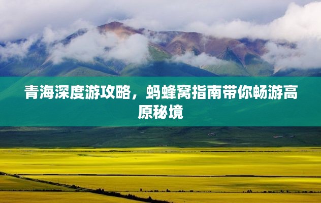 纲举目张 第2页