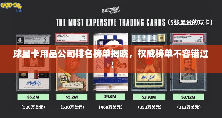 乌鸟之情 第3页