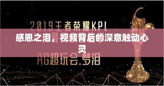 飞禽走兽 第3页
