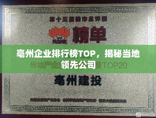 亳州企业排行榜TOP，揭秘当地领先公司