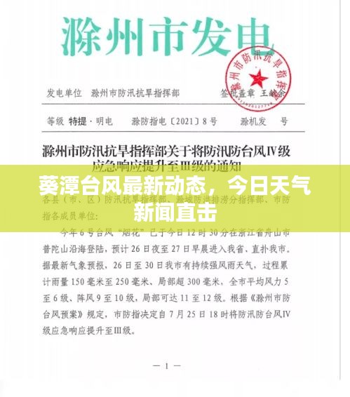 葵潭台风最新动态，今日天气新闻直击