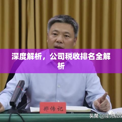 深度解析，公司税收排名全解析