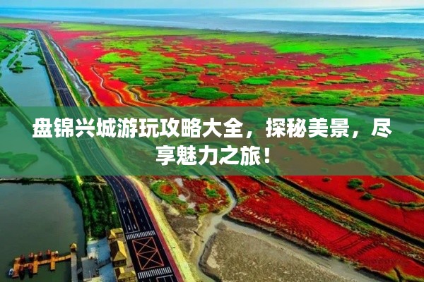 盘锦兴城游玩攻略大全，探秘美景，尽享魅力之旅！