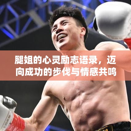 按部就班 第3页
