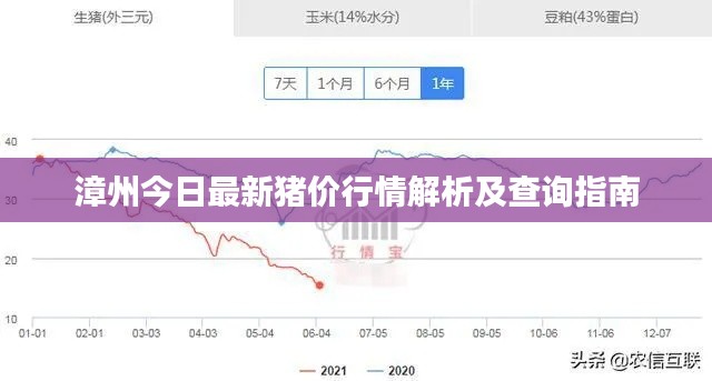 漳州今日最新猪价行情解析及查询指南