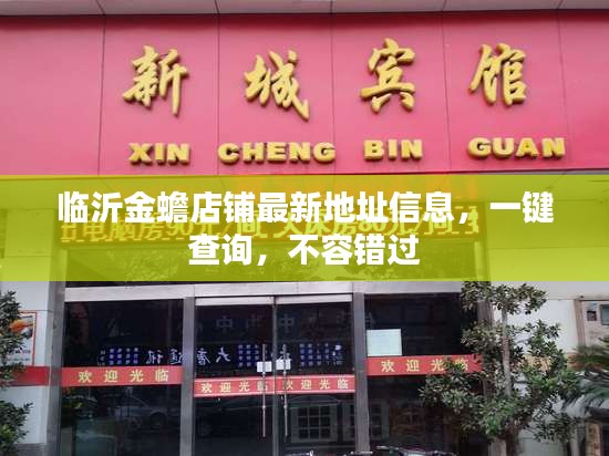 临沂金蟾店铺最新地址信息，一键查询，不容错过