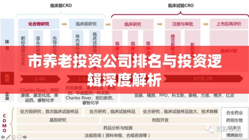 市养老投资公司排名与投资逻辑深度解析