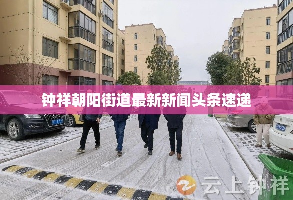 钟祥朝阳街道最新新闻头条速递