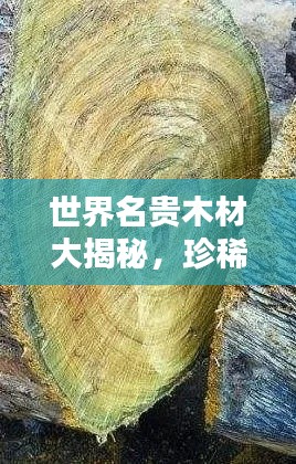 世界名贵木材大揭秘，珍稀木材排名榜单！