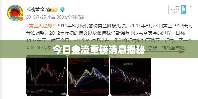 今日金流重磅消息揭秘