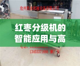 红枣分级机的智能应用与高效百度搜索体验探索