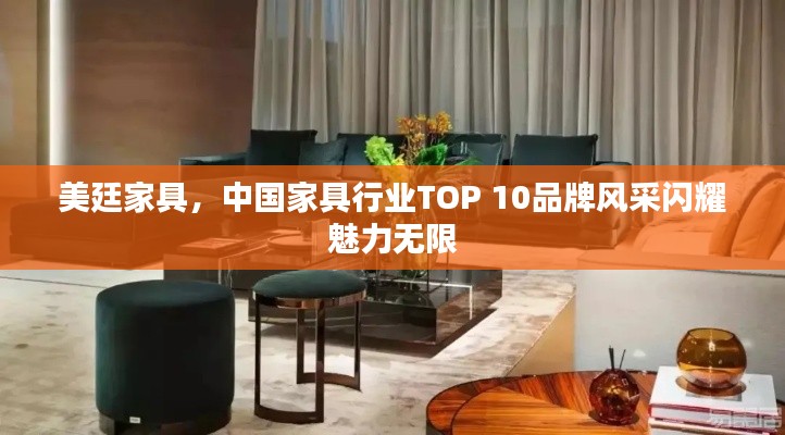 美廷家具，中国家具行业TOP 10品牌风采闪耀魅力无限