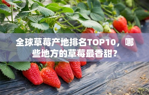 全球草莓产地排名TOP10，哪些地方的草莓最香甜？
