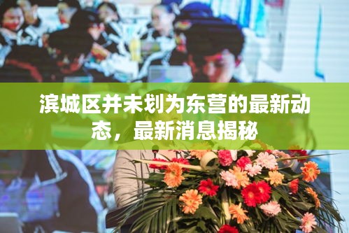 滨城区并未划为东营的最新动态，最新消息揭秘