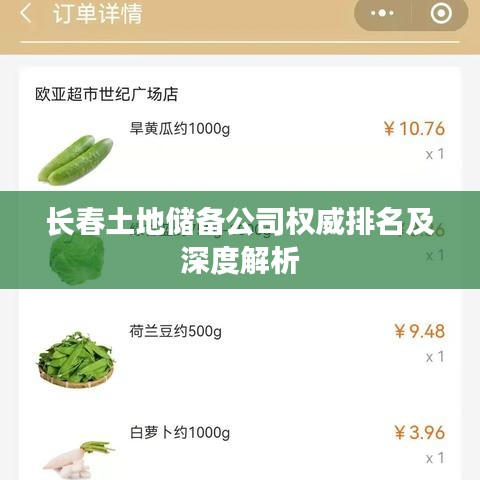 长春土地储备公司权威排名及深度解析