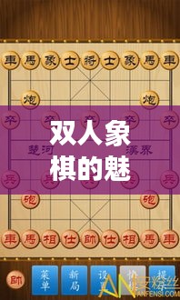 双人象棋的魅力，让你欲罢不能！