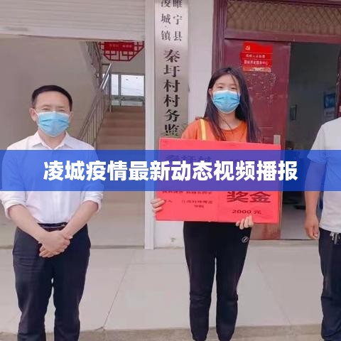 凌城疫情最新动态视频播报