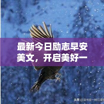 最新今日励志早安美文，开启美好一天！