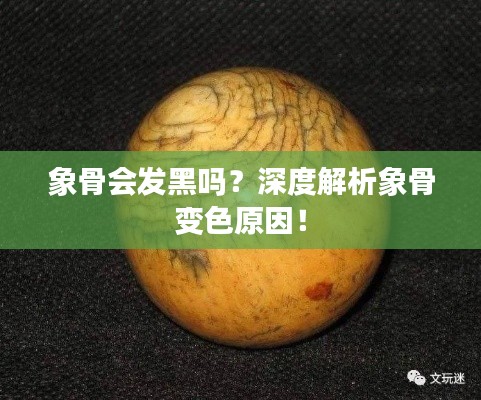 象骨会发黑吗？深度解析象骨变色原因！