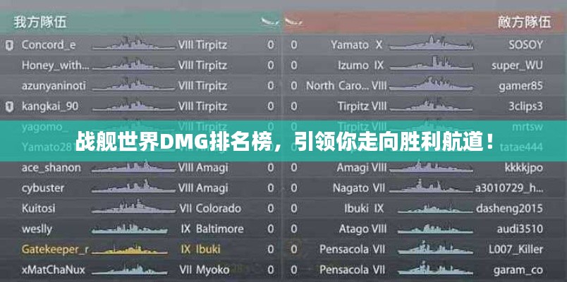 战舰世界DMG排名榜，引领你走向胜利航道！