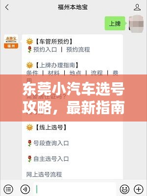东莞小汽车选号攻略，最新指南助你轻松选号