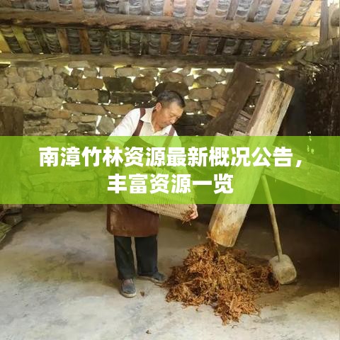 南漳竹林资源最新概况公告，丰富资源一览