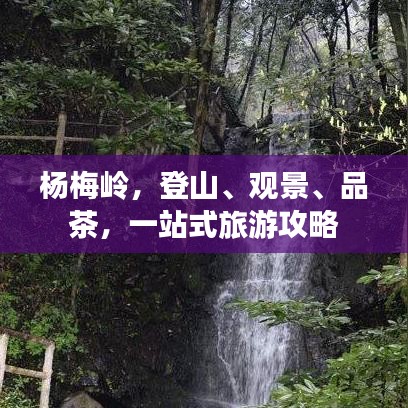 杨梅岭，登山、观景、品茶，一站式旅游攻略