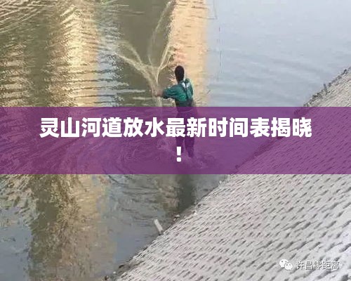 地老天荒 第2页