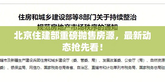 北京住建部重磅抛售房源，最新动态抢先看！