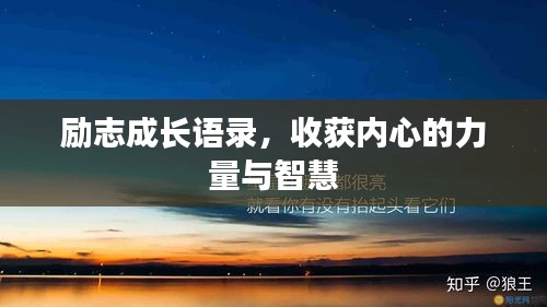 娇小玲珑 第2页