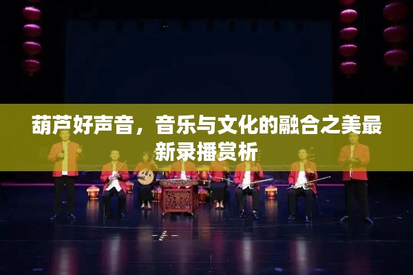 葫芦好声音，音乐与文化的融合之美最新录播赏析