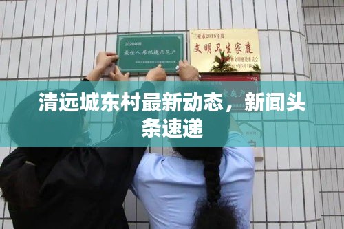 清远城东村最新动态，新闻头条速递