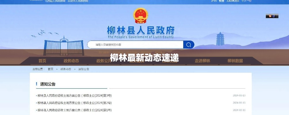 火伞高张 第2页