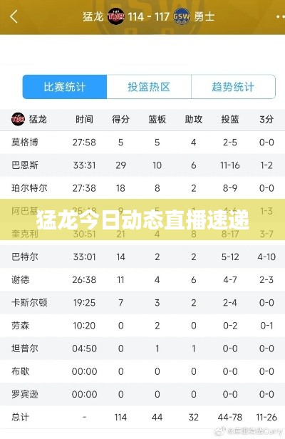 猛龙今日动态直播速递