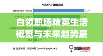 白领职场精英生活概览与未来趋势展望
