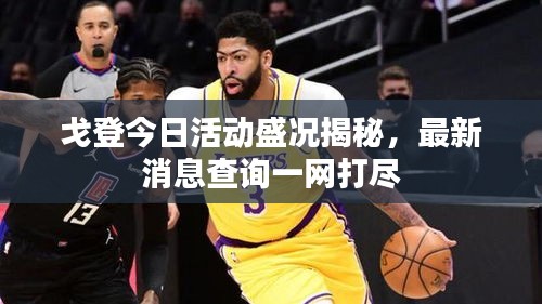 戈登今日活动盛况揭秘，最新消息查询一网打尽