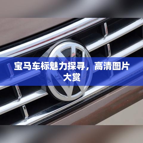 宝马车标魅力探寻，高清图片大赏