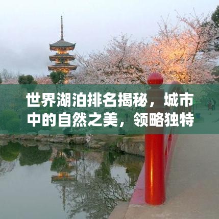 世界湖泊排名揭秘，城市中的自然之美，领略独特视角的魅力