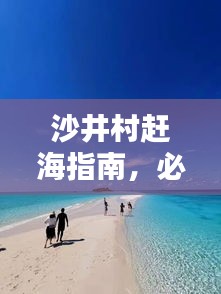 沙井村赶海指南，必看的攻略与最新图片欣赏