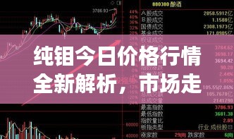 纯钼今日价格行情全新解析，市场走势一网打尽！