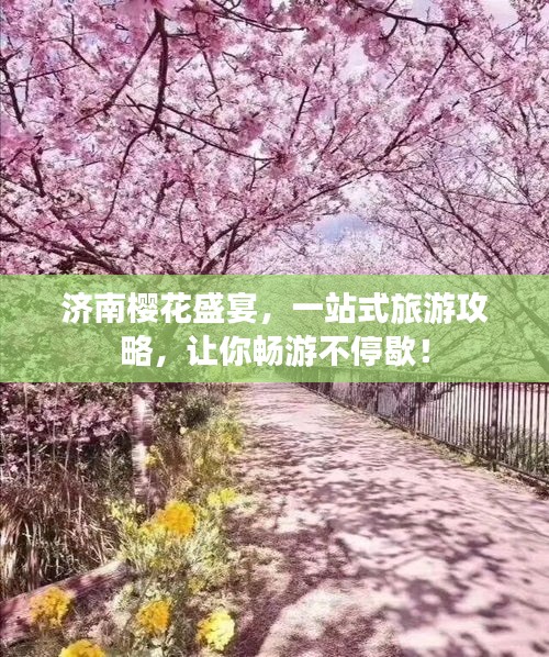 济南樱花盛宴，一站式旅游攻略，让你畅游不停歇！