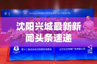 沈阳兴城最新新闻头条速递