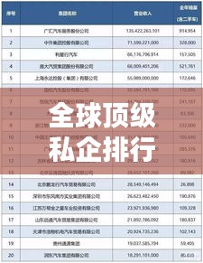 全球顶级私企排行榜，揭秘最富有的私营企业榜单！