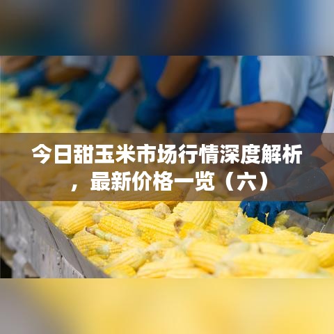 今日甜玉米市场行情深度解析，最新价格一览（六）