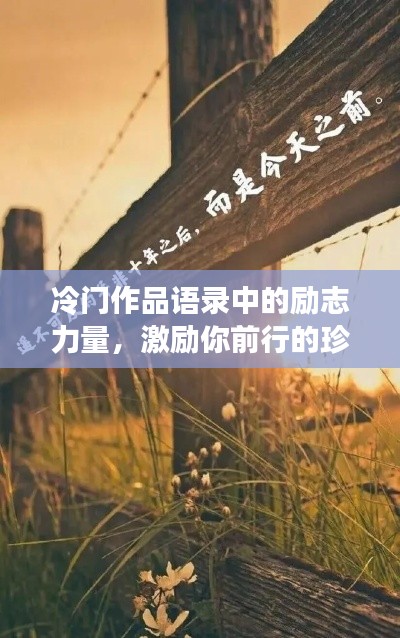 冷门作品语录中的励志力量，激励你前行的珍贵言辞