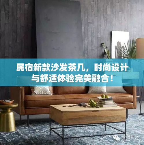 民宿新款沙发茶几，时尚设计与舒适体验完美融合！