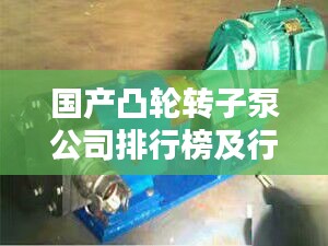 国产凸轮转子泵公司排行榜及行业影响力解析